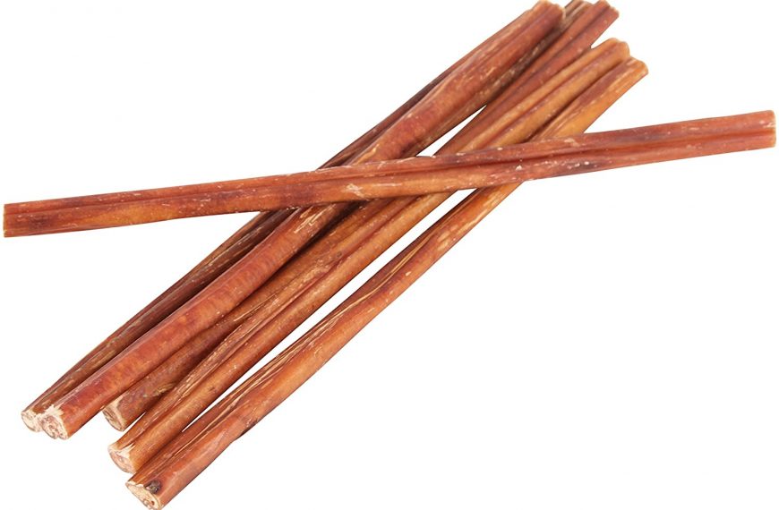 Bully sticks: Are they Safe and Good for the Pet Dogs?