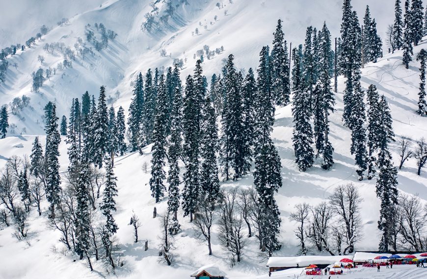 The Best Months To Visit The Valley With Kashmir Tour Packages